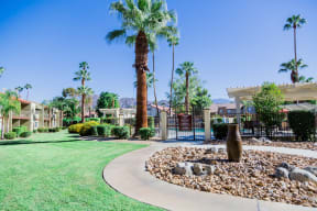 the preserve at green canyon apartments courtyard with rocks and palm trees
