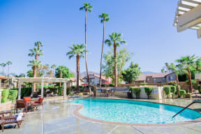 a swimming pool with palm trees