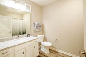 Bathroom with a toilet, mirror and sink at Trillium apartments in Melbourne fl