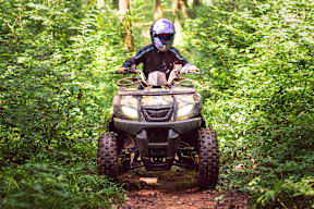 A person riding an ATV through a forest.