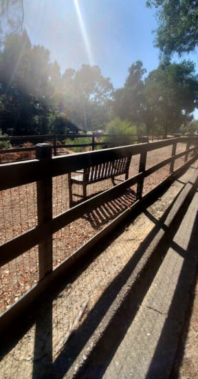 Dog Park at Danville Park, California