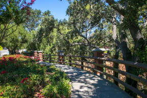 a walkway through a park with trees and a fence  at Danville Park, Danville, CA