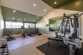 a gym with weights and other exercise equipment in a home at Diablo Vista, Livermore, CA, 94551