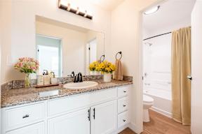 A bathroom with a sink, mirror, and a toilet.