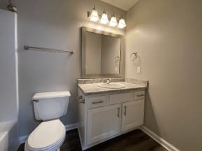 a bathroom with a toilet and a sink and a mirror