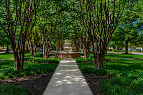 fountain at the reserve