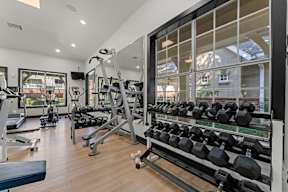 A well-equipped gym with a variety of exercise machines and dumbbells.