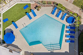 An aerial view of a swimming pool surrounded by blue lounge chairs.