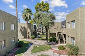 A courtyard with a tree and a building on the left.