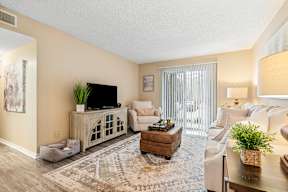 A living room with a television, couches, and a rug.