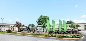 A green and black sculpture in front of a building.