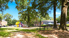 A playground with a yellow slide is surrounded by trees.
