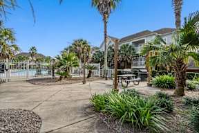 A sunny day at a residential area with a pool, palm trees, and a picnic table.