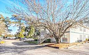 A tree with no leaves stands in front of a building.