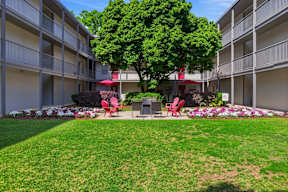 A tree in a courtyard surrounded by red chairs and flowers.