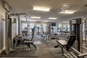 A gym with a variety of equipment including a rowing machine, a bench press, and a squat rack.