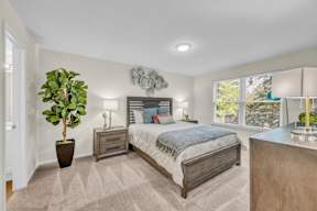 A bedroom with a large bed, a potted plant, and a nightstand with a lamp.