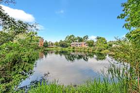 a view of a lake with houses in the background
