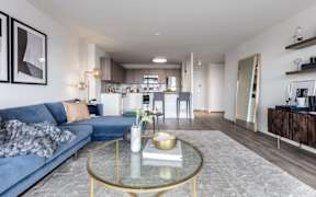 Living room with blue couch