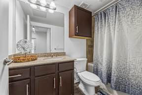 Master Bathroom at Platinum Castle Hills, Lewisville, 75056
