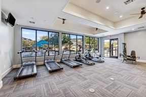 Private Gym at Platinum Castle Hills, Lewisville, TX