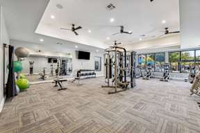 Workout Room at Platinum Castle Hills, Texas, 75056