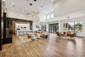 Welcome Lounge at Platinum Castle Hills, Lewisville, TX, 75056