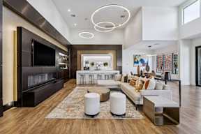 Modern Lounge at Platinum Castle Hills, Lewisville, TX