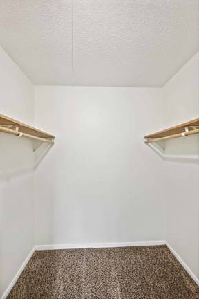 A small, empty room with a brown carpet and white walls.