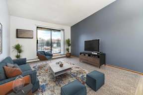 A living room with a grey couch, a coffee table, and a television.