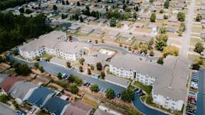 A large white building is surrounded by smaller houses.