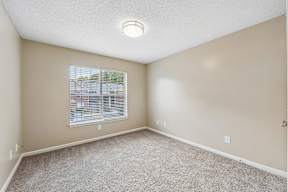 A room with a carpeted floor and a window with blinds.