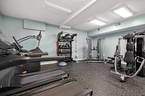 A gym with treadmills, weights, and exercise machines.