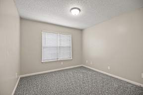 A room with a window and a carpeted floor.