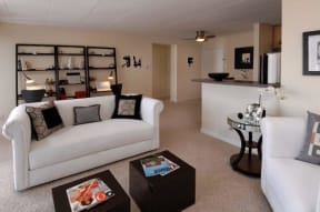 Spectrum Apartments in Arlington VA Living Room 