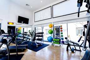 A gym with a variety of equipment including treadmills, weights, and exercise balls.