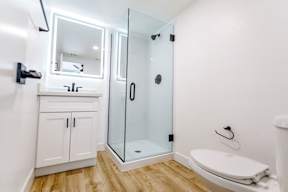 A white toilet sits next to a walk-in shower in a small bathroom.