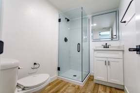 A white toilet is next to a walk-in shower with a glass door.