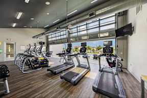 A gym with treadmills and exercise equipment.