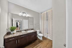 A bathroom with a large mirror, a sink, a toilet, and a potted plant.