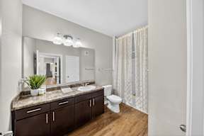A bathroom with a large mirror, a sink, a toilet, and a potted plant.