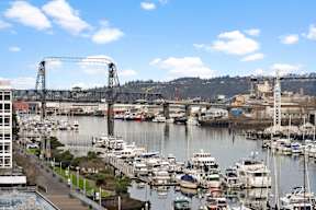 A marina with boats docked in the water and a bridge in the background.