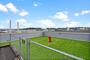 A red fire hydrant sits on a green lawn next to a chain link fence.