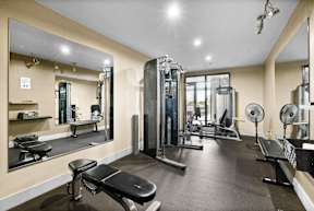 A well-equipped gym with a variety of exercise machines and weights.