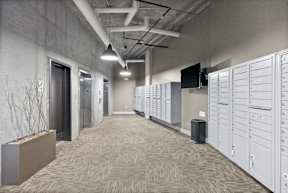 A long hallway with a carpeted floor and white lockers on the right side.