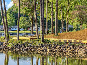 A serene park scene with a pond, trees, and a wooden deck.