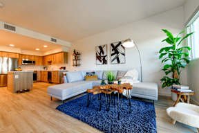 A modern living room with a white sofa, wooden coffee table, and a blue rug.
