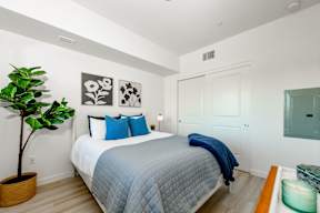 A bedroom with a bed, a plant, and pictures on the wall.