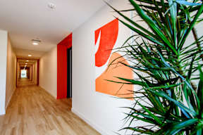 A long hallway with a plant on the right and a painting on the wall.