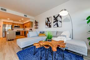 A modern living room with a grey sofa, wooden coffee table, and a blue rug.